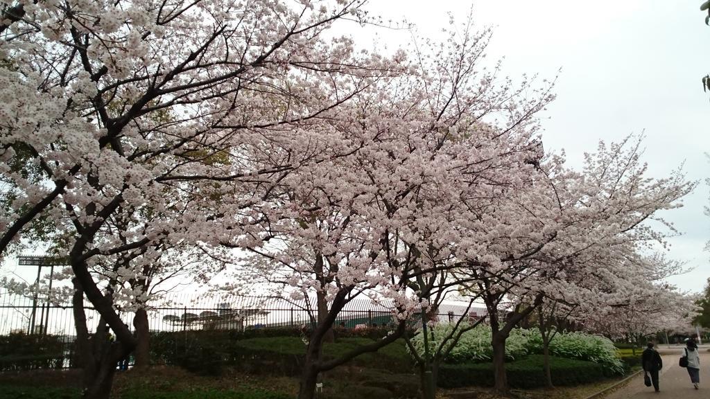 Abiko Guest House Matsubara Exterior foto